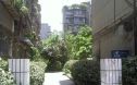 玉通巷5号院实景图