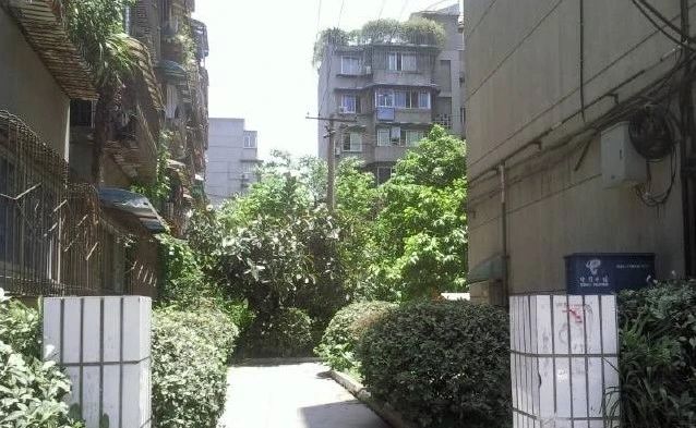 玉通巷5号院实景图