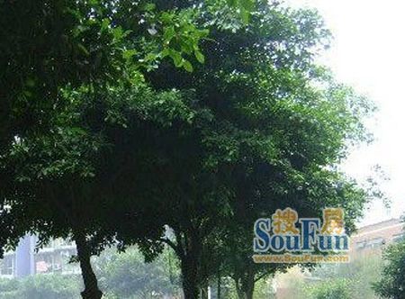 府青路二段18号院实景图