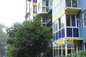 虹波巷29号2室1厅东北