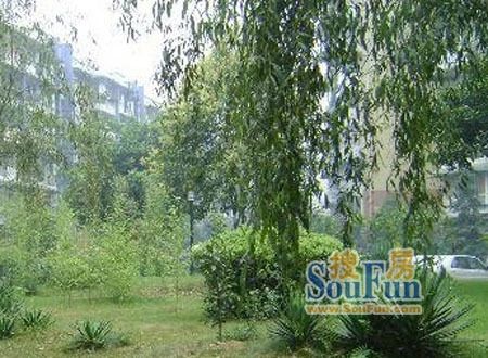 府青路二段18号院实景图