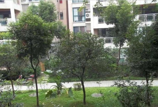 锦江东湖花园实景图