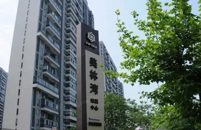 实景图