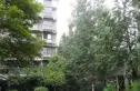 郫县欣苑小区实景图