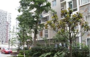全鑫苑2室2厅东南