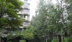 现代名城 4室2厅 西 北