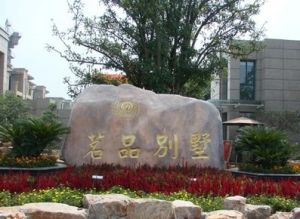 环境优美视野好!前后无遮挡!精装自主