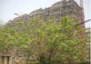 瑞园小区6室4厅南