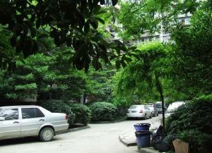 明顺园 3室2厅 南