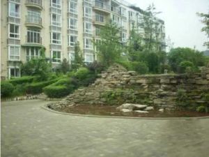 金山花园(阳光城幸福路) 3室1厅 东北