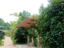 伴山蝶墅(伴山悦城) 南北通透,采光好 视野好,诚心出售