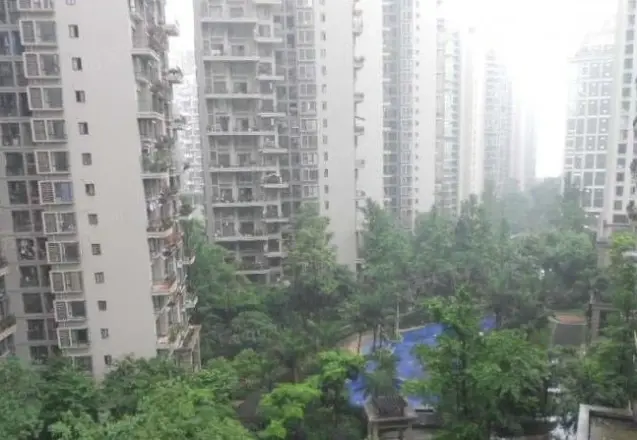 揽胜金沙实景图