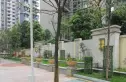 揽胜金沙实景图