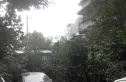 长顺苑南院实景图