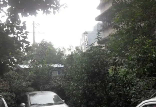 长顺苑南院实景图