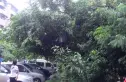 长顺苑南院实景图