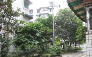 长顺南苑3室1厅东