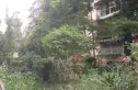 长顺苑南院实景图