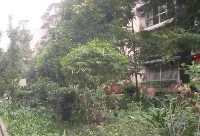 长顺苑南院实景图