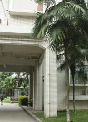 名都苑3室2厅南