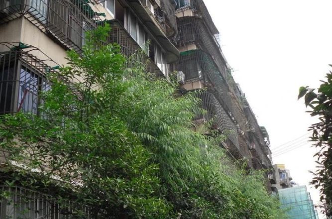 洛阳路27号院实景图