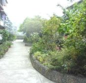 川大新南村2室1厅东南