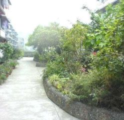 川大新南村2室1厅南北