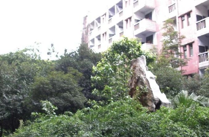 小区相关图