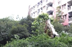 西南财经大学教师宿舍2室2厅南