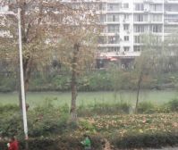 水岸花园2室2厅东南西南