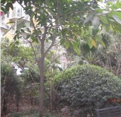 水岸花园4室2厅南北