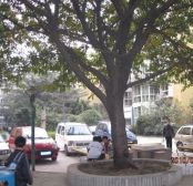 水岸花园4室2厅西南