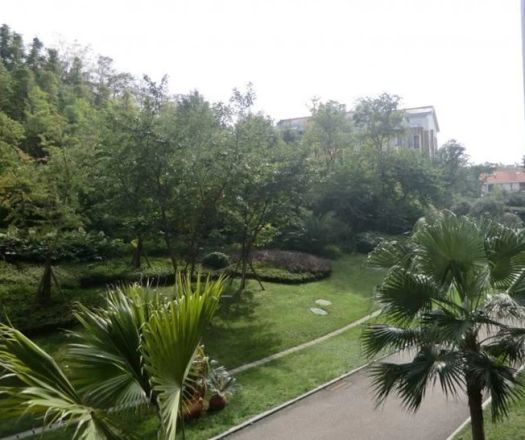 东麓驿境别墅实景图