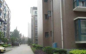 白家雅园3室2厅南