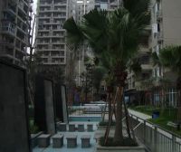 金水湾3室2厅东南西南