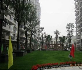 金水湾2室1厅东南南
