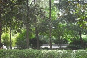 海棠金宇 3室2厅 南