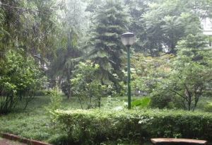 向阳小区3室2厅南