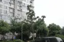 君园实景图