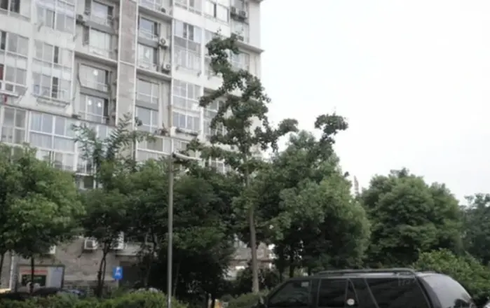君园实景图