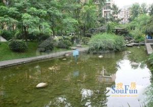 汇景樱桃季2室1厅东