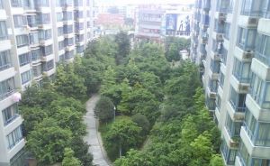 汇景樱桃季2室1厅东