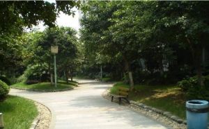 汇景樱桃季 1室1厅 西南