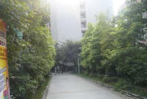 汇景樱桃季2室1厅南北