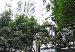 汇景樱桃季1室1厅东