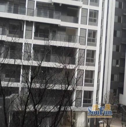 南晶国际南庭实景图