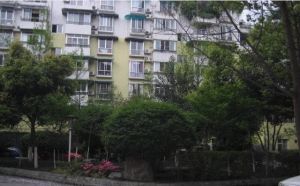 丽景欣城A区 3室2厅 东南