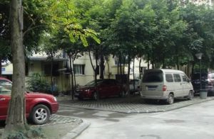 丽景欣城二期 3室2厅 东南