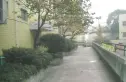 丽景欣城花语间实景图