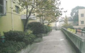 丽景欣城A区2室1厅西南